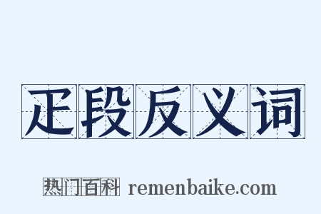 疋段反义词是什么意思的图片